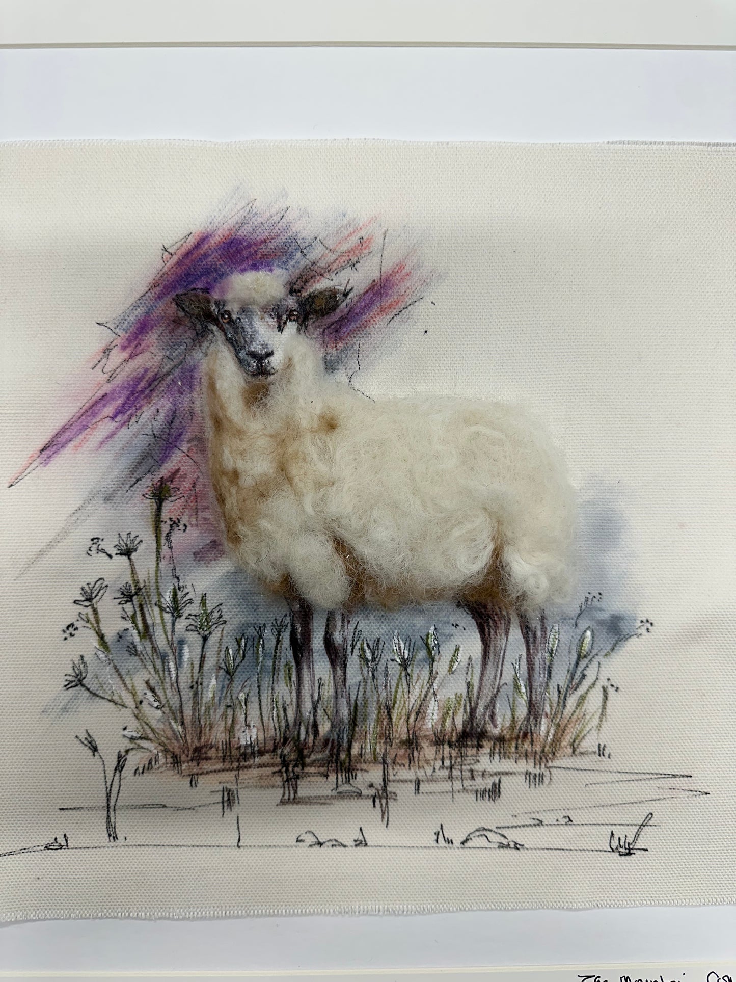 “The mountain companion “