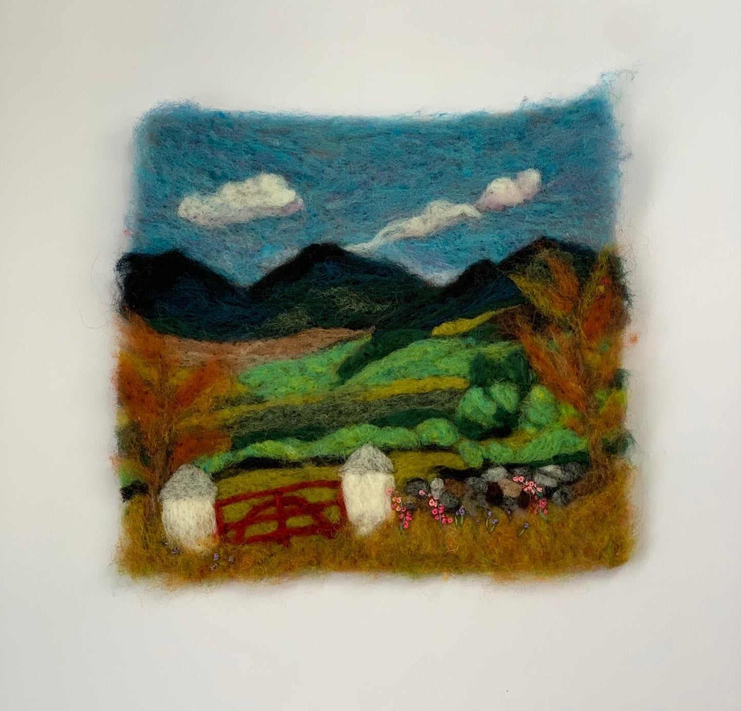 Slieve Bearnagh …the mournes County Down