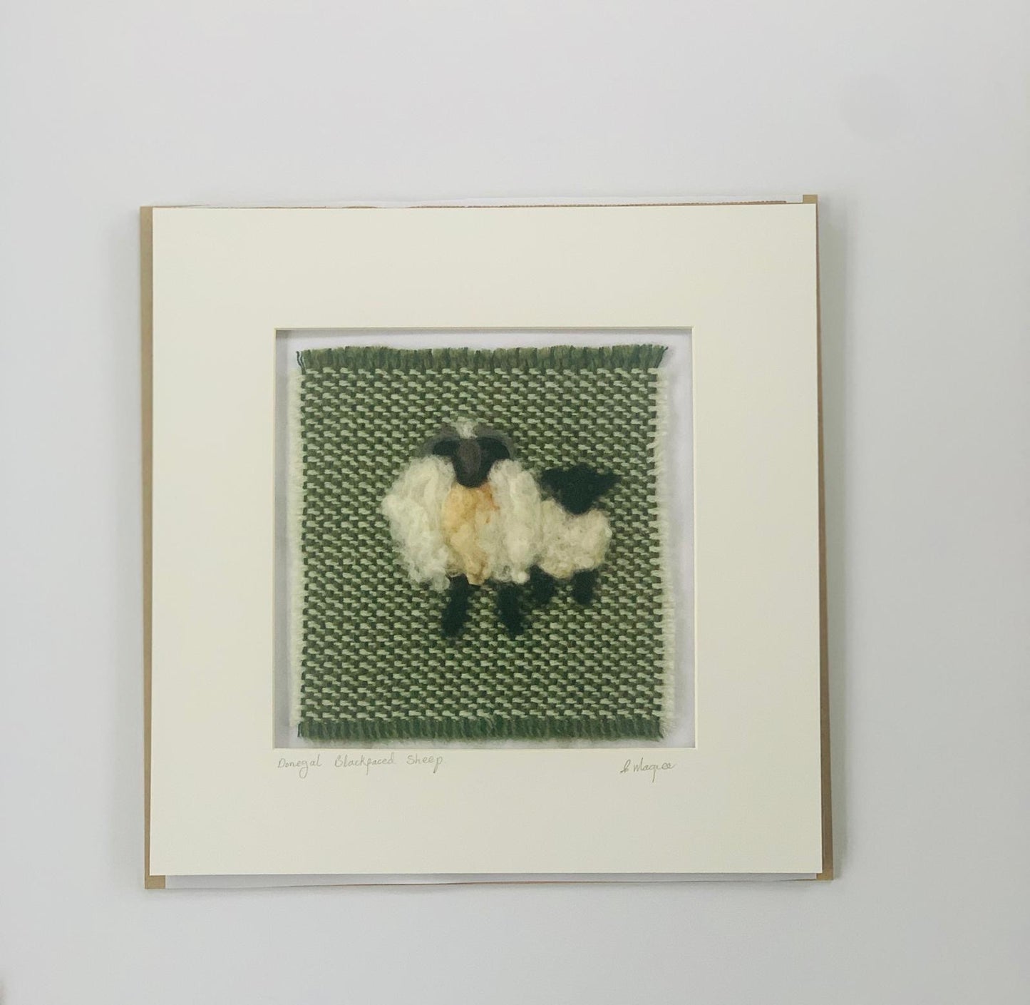 “Donegal black faced sheep “
