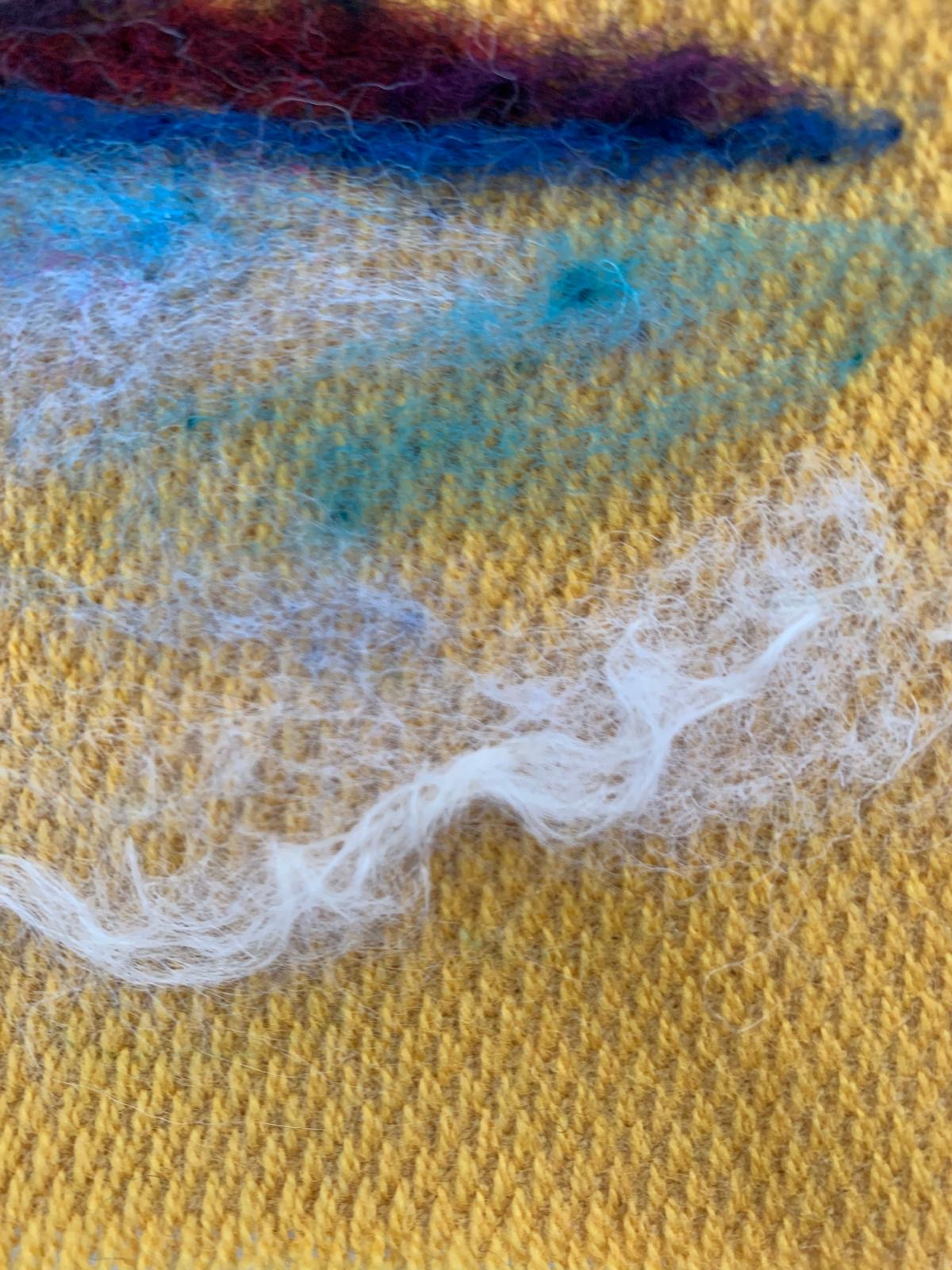 Golden light over sheep havern bay Donegal