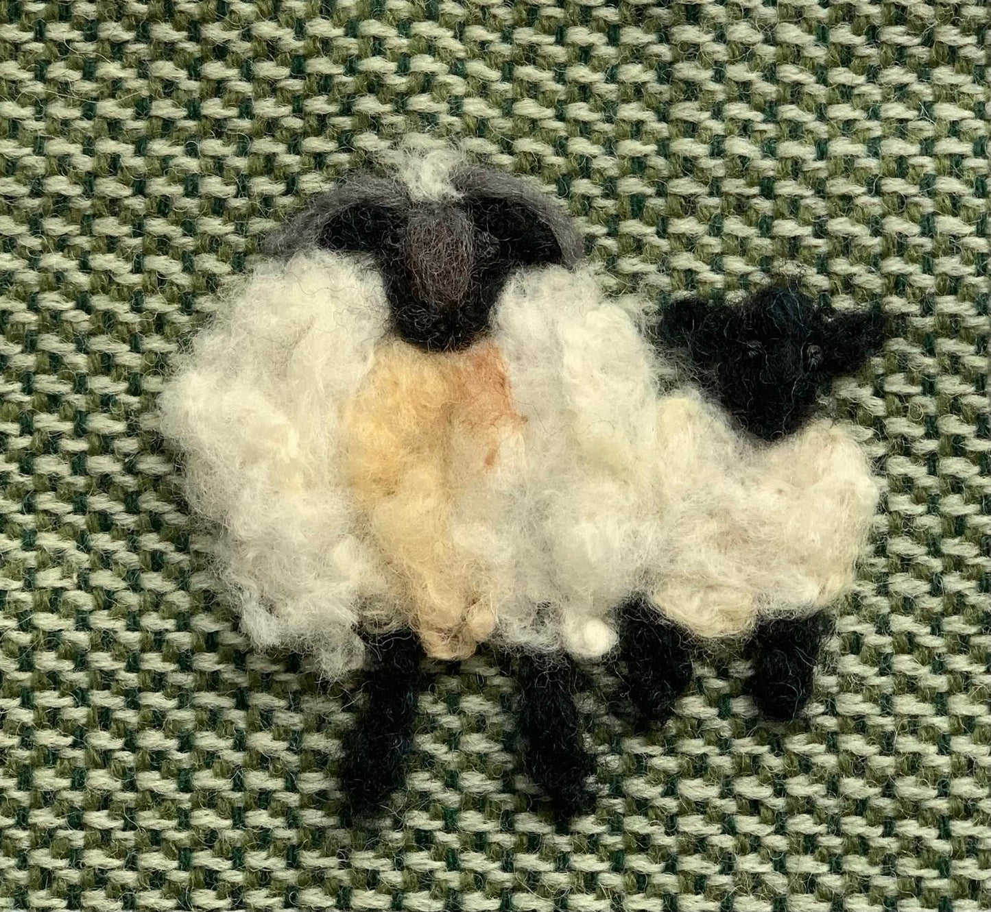 “Donegal black faced sheep “