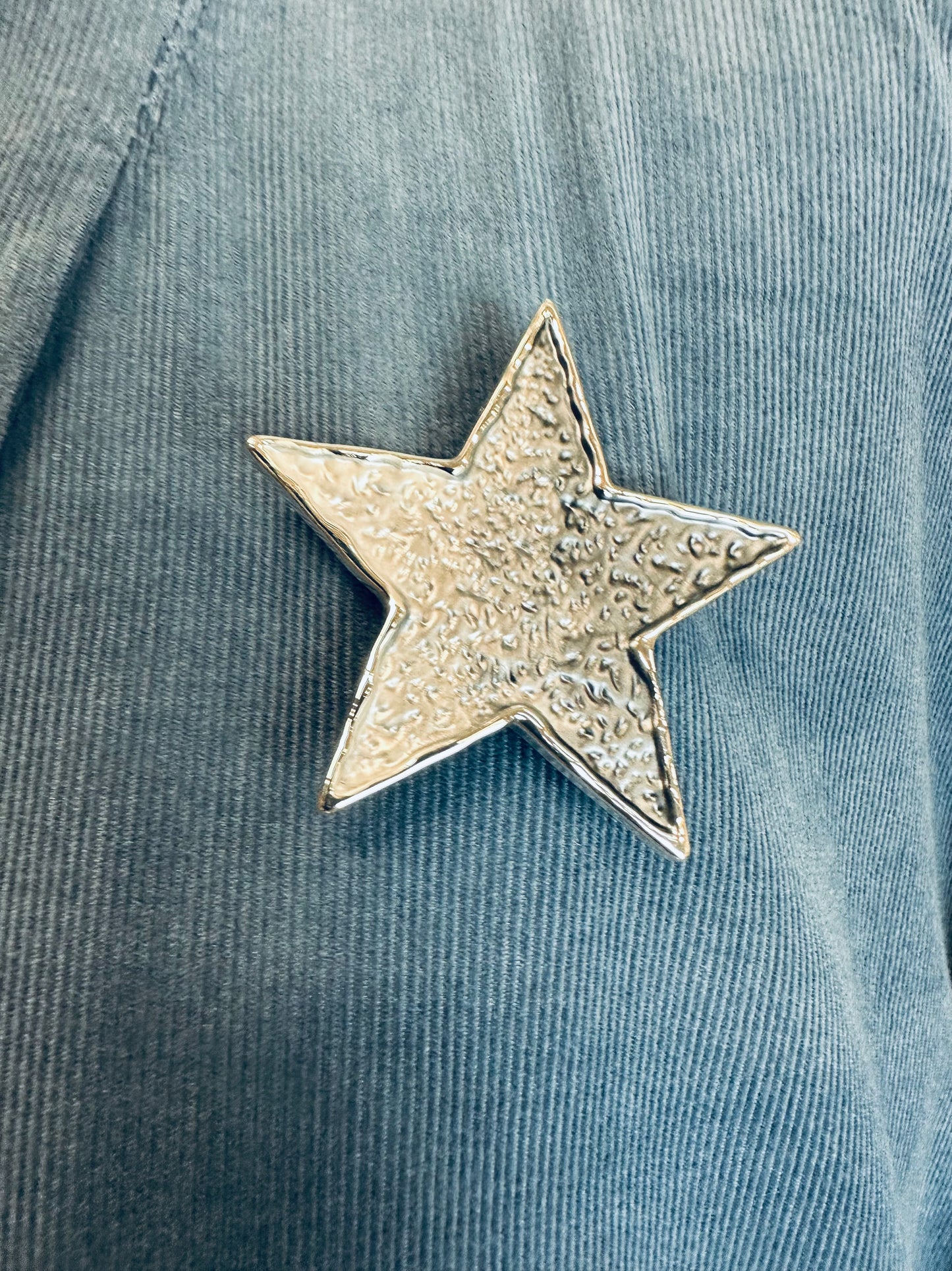 “You’re a star “ silver grey magnetic brooch