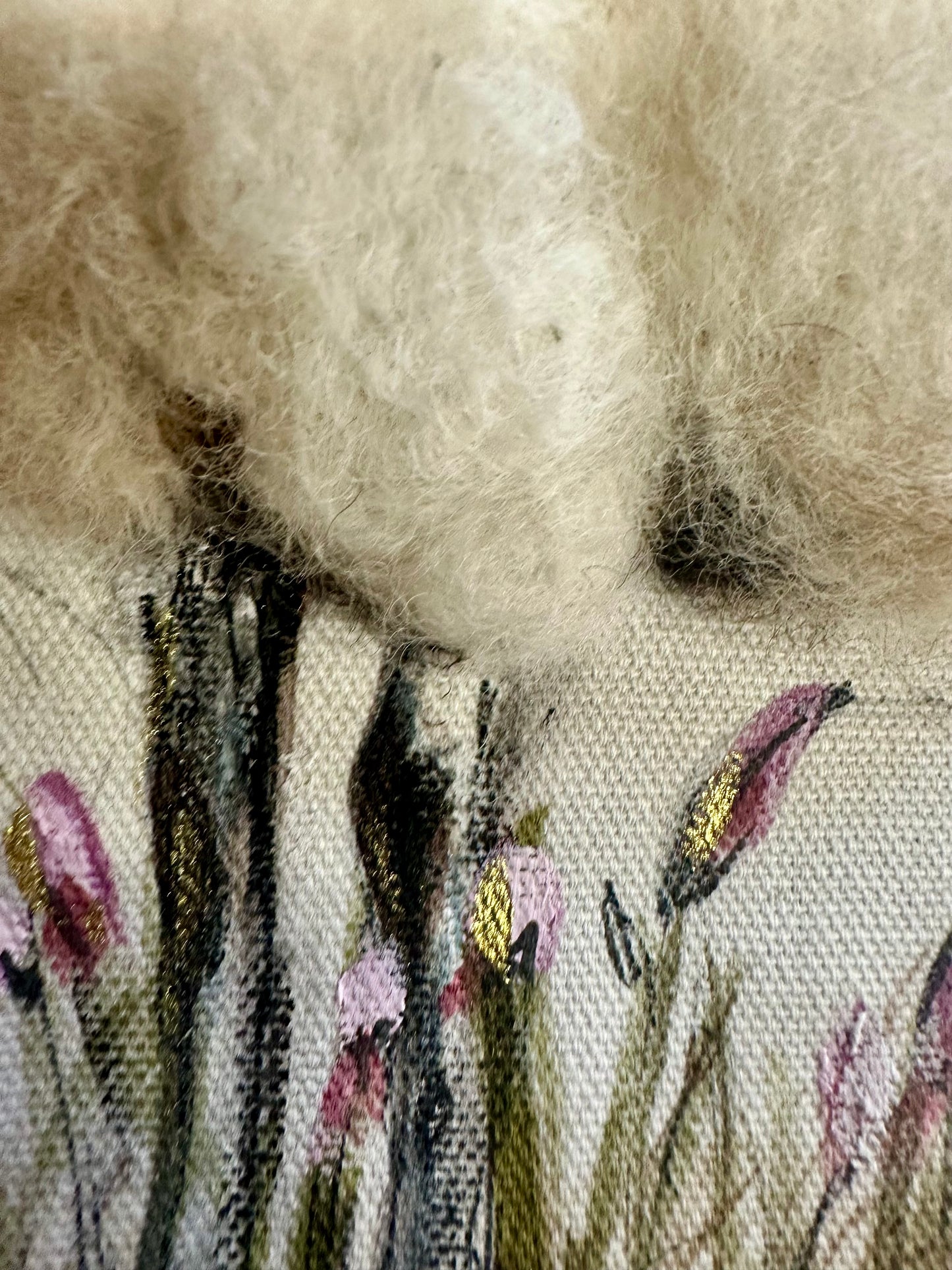 “The companion “