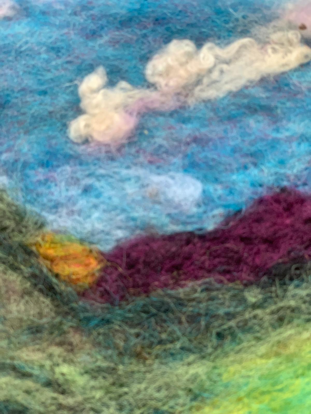 “Blooms in the Mournes “