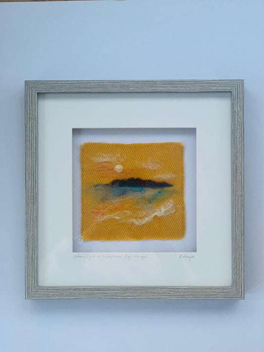 Golden light over sheep havern bay Donegal