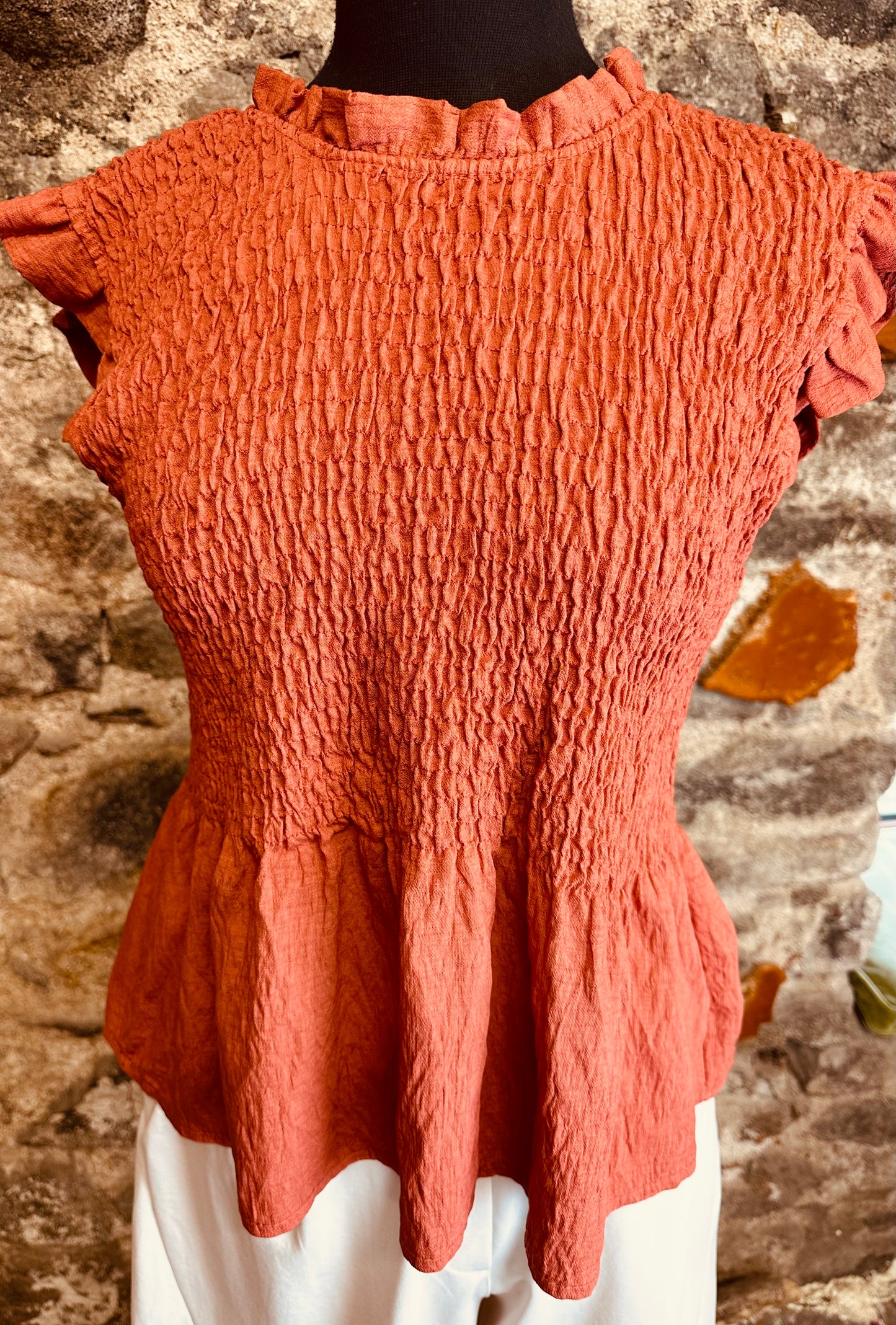 “Betty “ terracotta rushed elasticated top