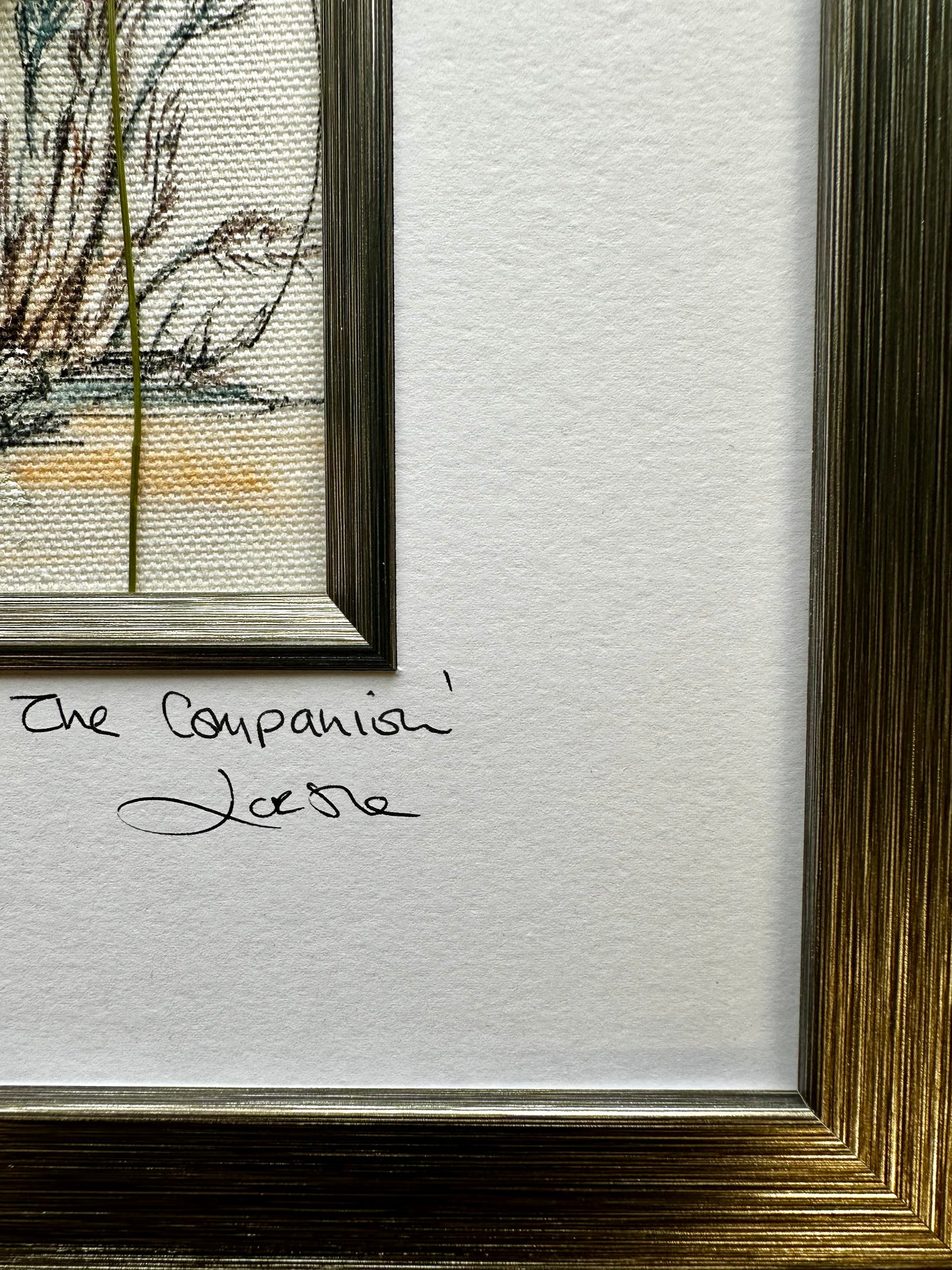 “The companion “