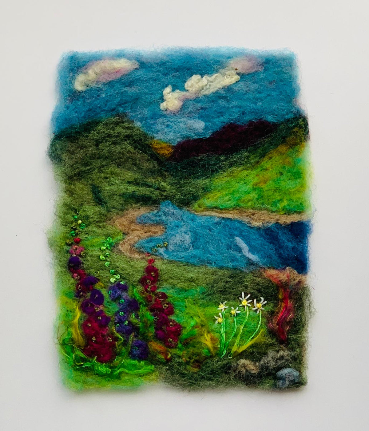 “Blooms in the Mournes “