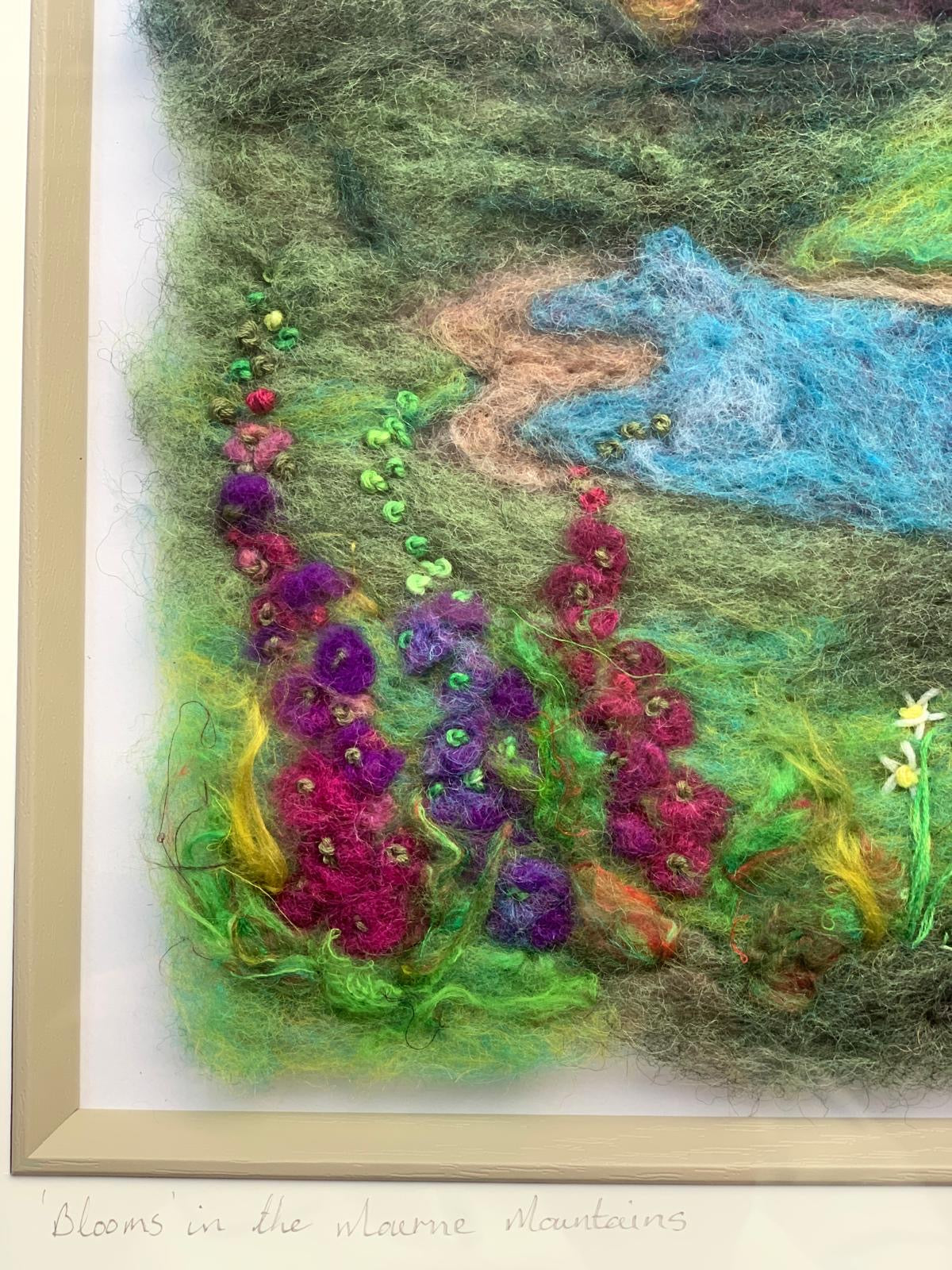 “Blooms in the Mournes “