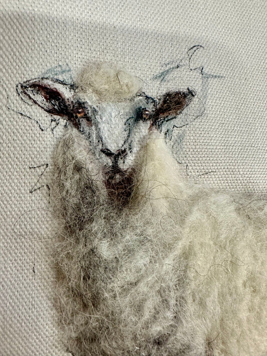 The mountain companion ..the white one