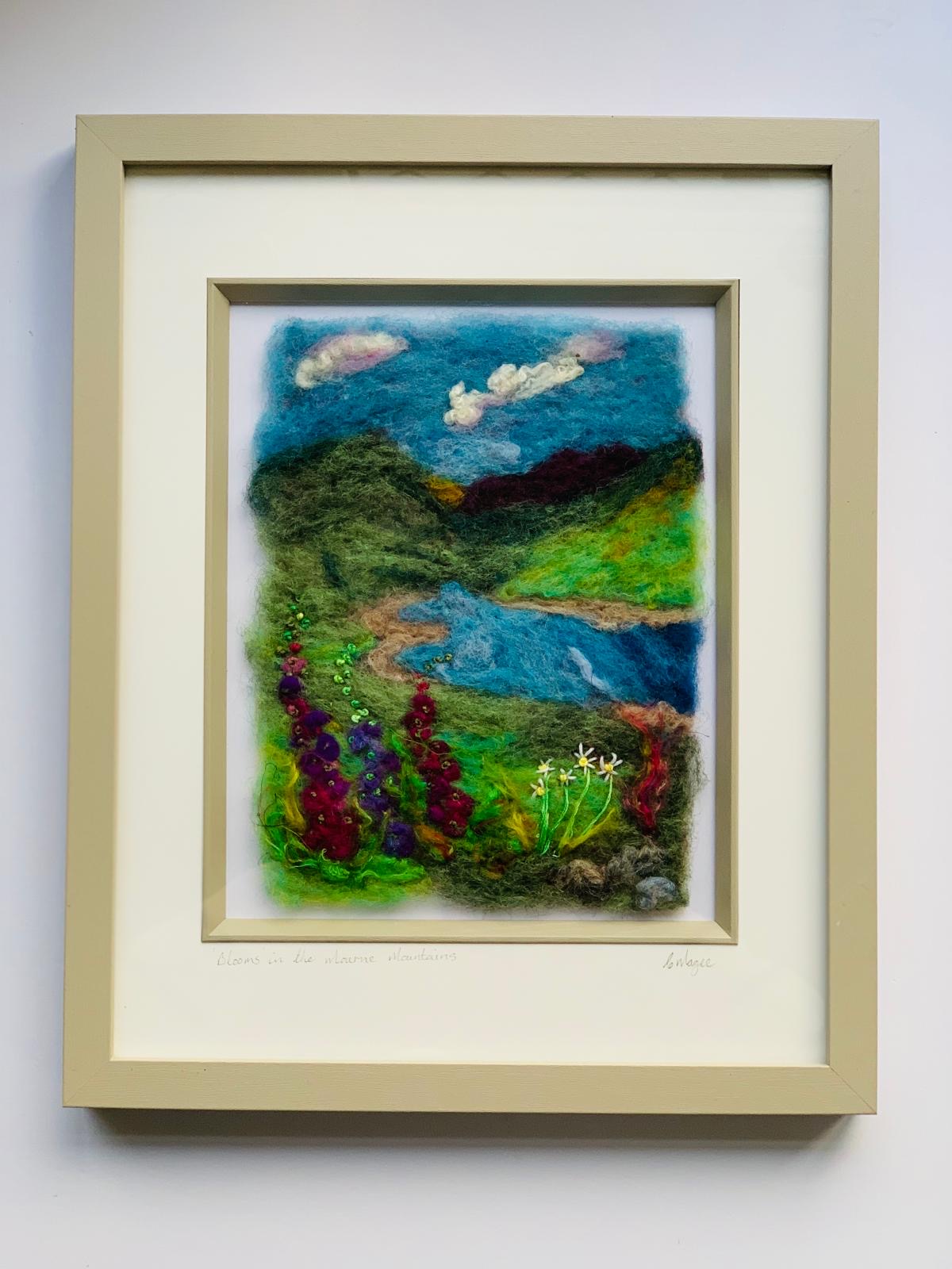 “Blooms in the Mournes “