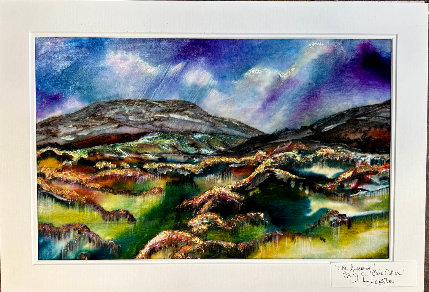 “The awakening “ spring on Slieve Gullion County Armagh
