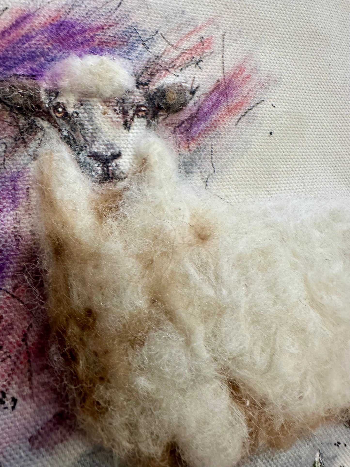 “The mountain companion “