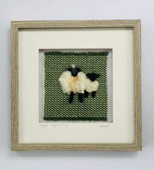 “Donegal black faced sheep “