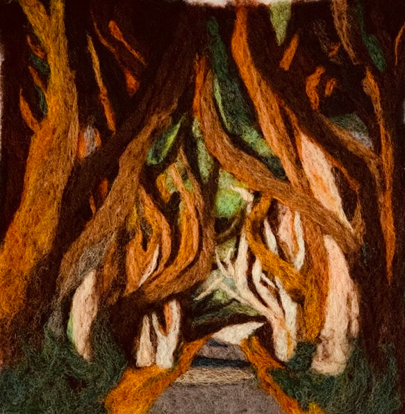 The dark hedges